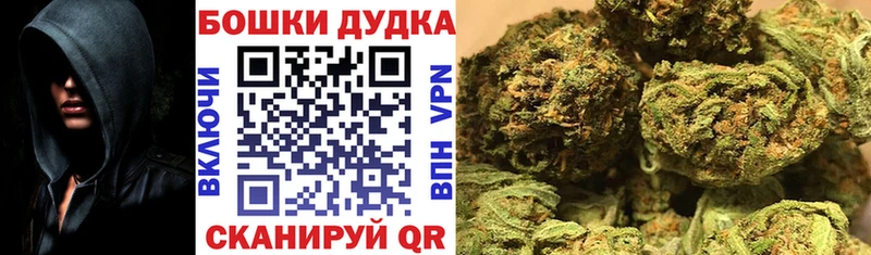 Бошки Шишки семена  сайты даркнета официальный сайт  Анадырь 
